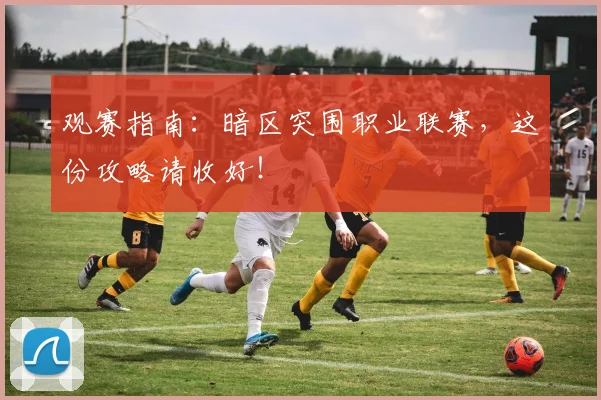 观赛指南：暗区突围职业联赛，这份攻略请收好！